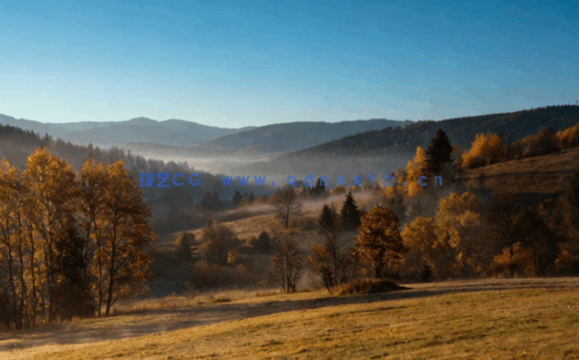 高清深林外景贴图丁达尔效应(图3) 高清深林外景贴图丁达尔效应(图3)