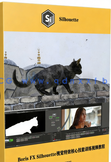 Boris FX Silhouette视觉特效核心技能训练视频教程(图6) Boris FX Silhouette视觉特效核心技能训练视频教程(图6)