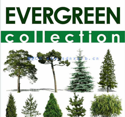 440组Vishopper出品树木植物建筑效果图背景插图JPG与PSD图片集(图3) 440组Vishopper出品树木植物建筑效果图背景插图JPG与PSD图片集(图3)