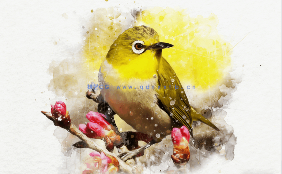 逼真写实水彩画背景晕染鸟类角色PSD模板(图1) 逼真写实水彩画背景晕染鸟类角色PSD模板(图1)