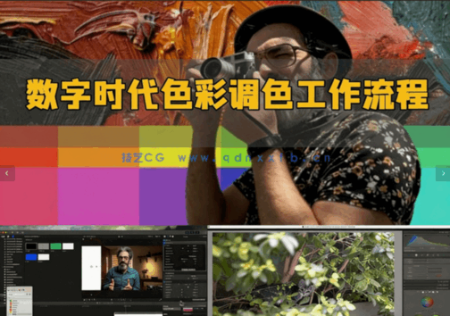 数字时代摄影师和电影制作人色彩调色工作流程视频教程(图5) 数字时代摄影师和电影制作人色彩调色工作流程视频教程(图5)