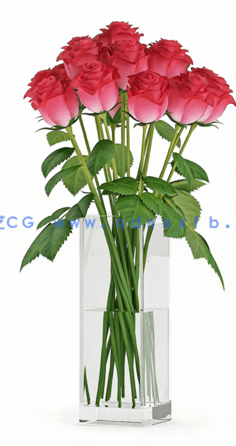 C4D方形玻璃花瓶红玫瑰插花艺术观赏花模型(图1)
