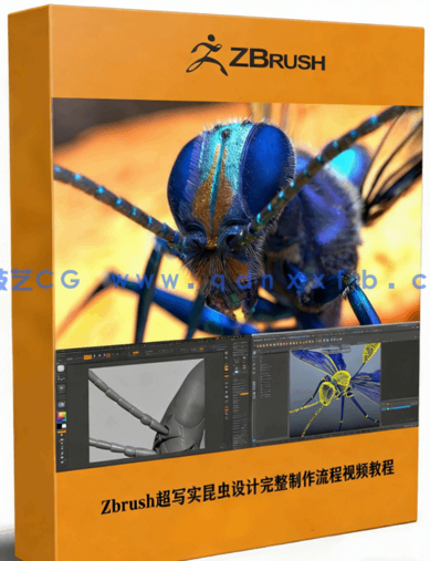 Zbrush超写实昆虫设计完整制作流程视频教程(图1) Zbrush超写实昆虫设计完整制作流程视频教程(图1)