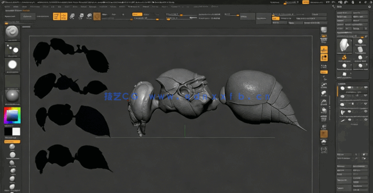 Zbrush超写实昆虫设计完整制作流程视频教程(图3) Zbrush超写实昆虫设计完整制作流程视频教程(图3)