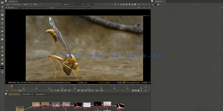 Zbrush超写实昆虫设计完整制作流程视频教程(图4) Zbrush超写实昆虫设计完整制作流程视频教程(图4)