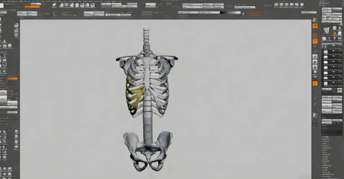 ZBrush机器人内骨骼详细实例视频教程(图2) ZBrush机器人内骨骼详细实例视频教程(图2)