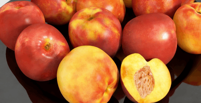 油桃水果模型 Nectarines Fruit model(图1) 油桃水果模型 Nectarines Fruit model(图1)