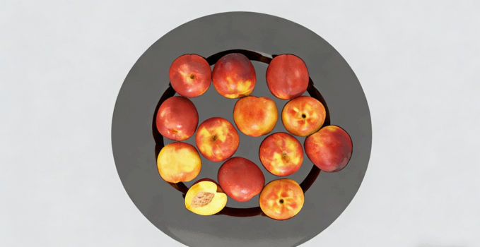 油桃水果模型 Nectarines Fruit model(图4) 油桃水果模型 Nectarines Fruit model(图4)