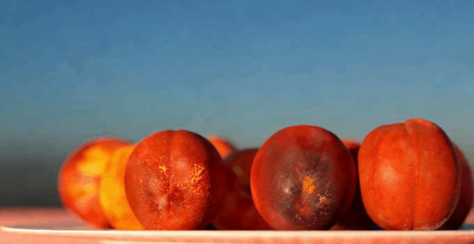 25种高度逼真详细的水果模型合集(图4) 25种高度逼真详细的水果模型合集(图4)