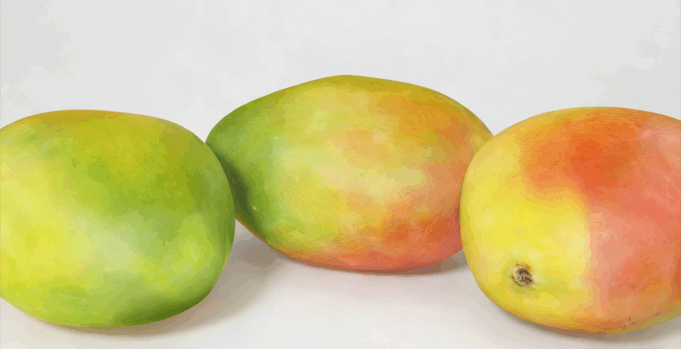 芒果水果模型 Mangos Fruit model(图1)