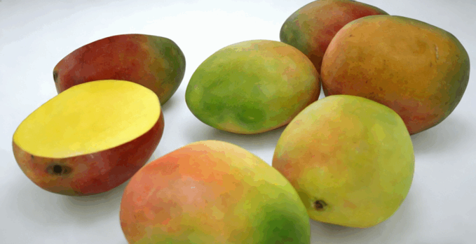 芒果水果模型 Mangos Fruit model(图4)