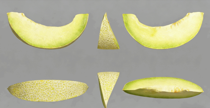 加利亚甜瓜水果模型 Galia Melon Fruit model(图2)