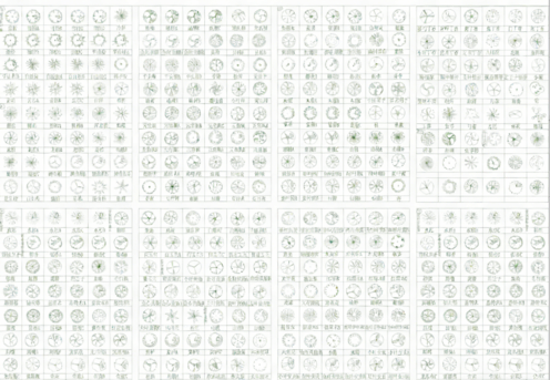 2026年最新超全植物CAD树木CAD植物图例CAD植物平面CAD植物立面CAD景观植物CAD图库(图6) 2026年最新超全植物CAD树木CAD植物图例CAD植物平面CAD植物立面CAD景观植物CAD图库(图6)