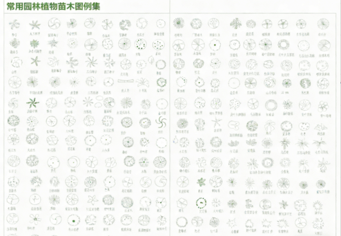 2026年最新超全植物CAD树木CAD植物图例CAD植物平面CAD植物立面CAD景观植物CAD图库(图5) 2026年最新超全植物CAD树木CAD植物图例CAD植物平面CAD植物立面CAD景观植物CAD图库(图5)