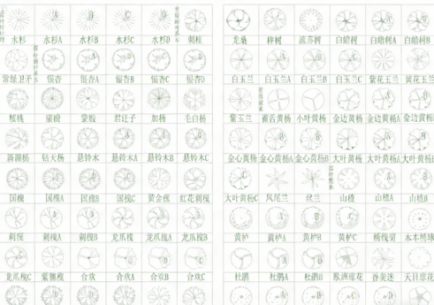 2026年最新超全植物CAD树木CAD植物图例CAD植物平面CAD植物立面CAD景观植物CAD图库(图4) 2026年最新超全植物CAD树木CAD植物图例CAD植物平面CAD植物立面CAD景观植物CAD图库(图4)