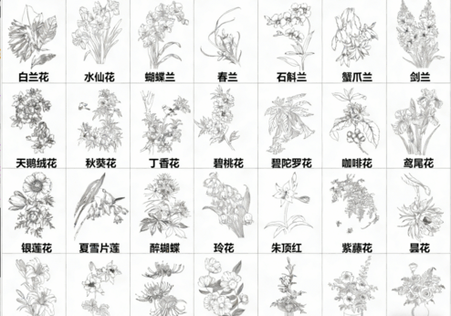 2026年最新超全花草花卉CAD图库CAD花草CAD绿植CAD植物CAD月季花CAD玫瑰花CAD菊花CAD(图3) 2026年最新超全花草花卉CAD图库CAD花草CAD绿植CAD植物CAD月季花CAD玫瑰花CAD菊花CAD(图3)
