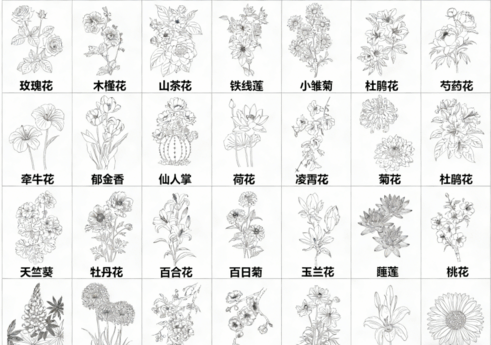 2026年最新超全花草花卉CAD图库CAD花草CAD绿植CAD植物CAD月季花CAD玫瑰花CAD菊花CAD(图5) 2026年最新超全花草花卉CAD图库CAD花草CAD绿植CAD植物CAD月季花CAD玫瑰花CAD菊花CAD(图5)