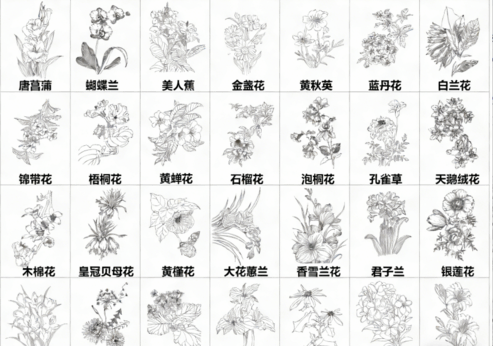 2026年最新超全花草花卉CAD图库CAD花草CAD绿植CAD植物CAD月季花CAD玫瑰花CAD菊花CAD(图6) 2026年最新超全花草花卉CAD图库CAD花草CAD绿植CAD植物CAD月季花CAD玫瑰花CAD菊花CAD(图6)