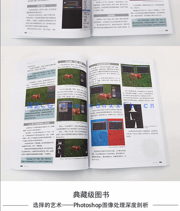 选择的艺术:Photoshop图像处理深度剖析(第4版)(图9) 选择的艺术:Photoshop图像处理深度剖析(第4版)(图9)