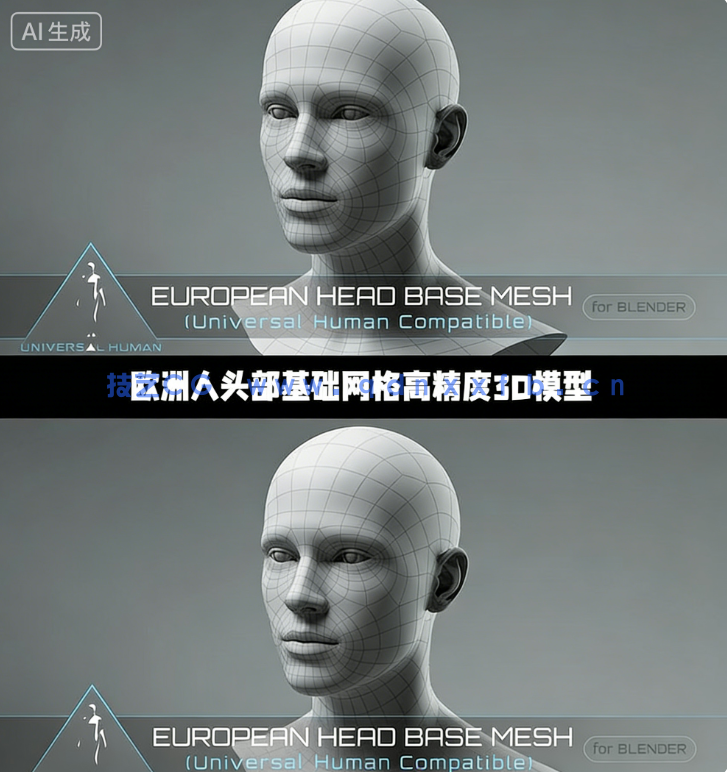 欧洲人头部基础网格高精度3D模型(图1) 欧洲人头部基础网格高精度3D模型(图1)