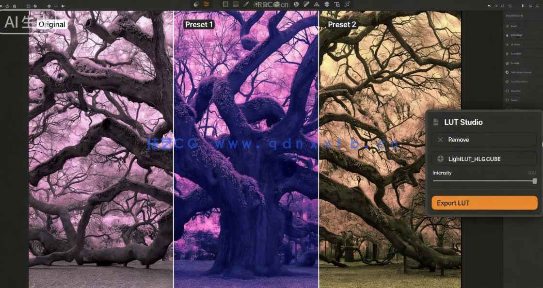 Irix HDR Pro Classic Pro人工智能照片编辑软件V2.3.57版(图2) Irix HDR Pro Classic Pro人工智能照片编辑软件V2.3.57版(图2)