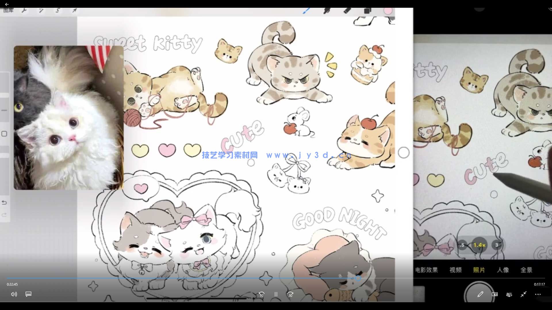 (图3)