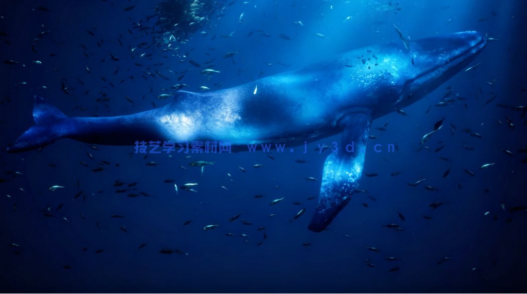 水下世界场景生成工具UE游戏素材(图5) 水下世界场景生成工具UE游戏素材(图5)