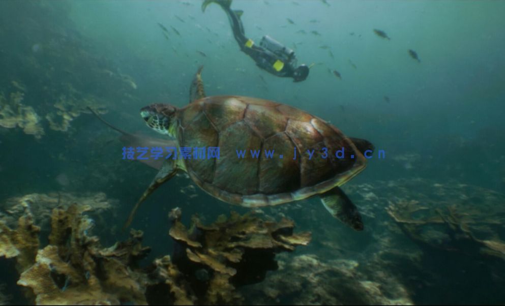 水下世界场景生成工具UE游戏素材(图7) 水下世界场景生成工具UE游戏素材(图7)