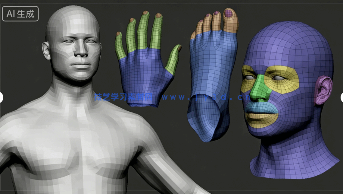 男性女性角色肌肉骨骼建模雕刻基础网格3D模型合集(图14)