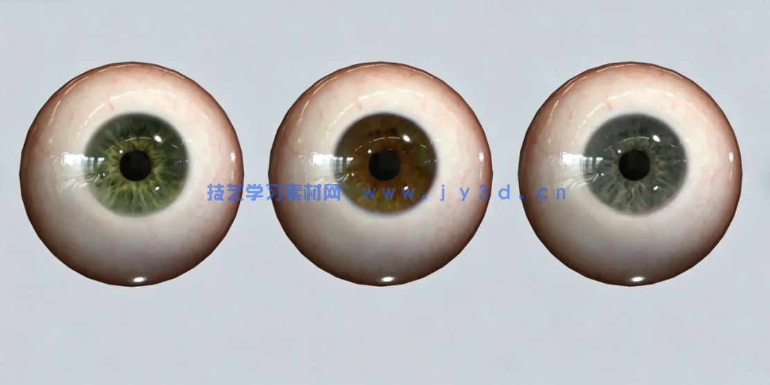 男性女性角色肌肉骨骼建模雕刻基础网格3D模型合集(图3) 男性女性角色肌肉骨骼建模雕刻基础网格3D模型合集(图3)