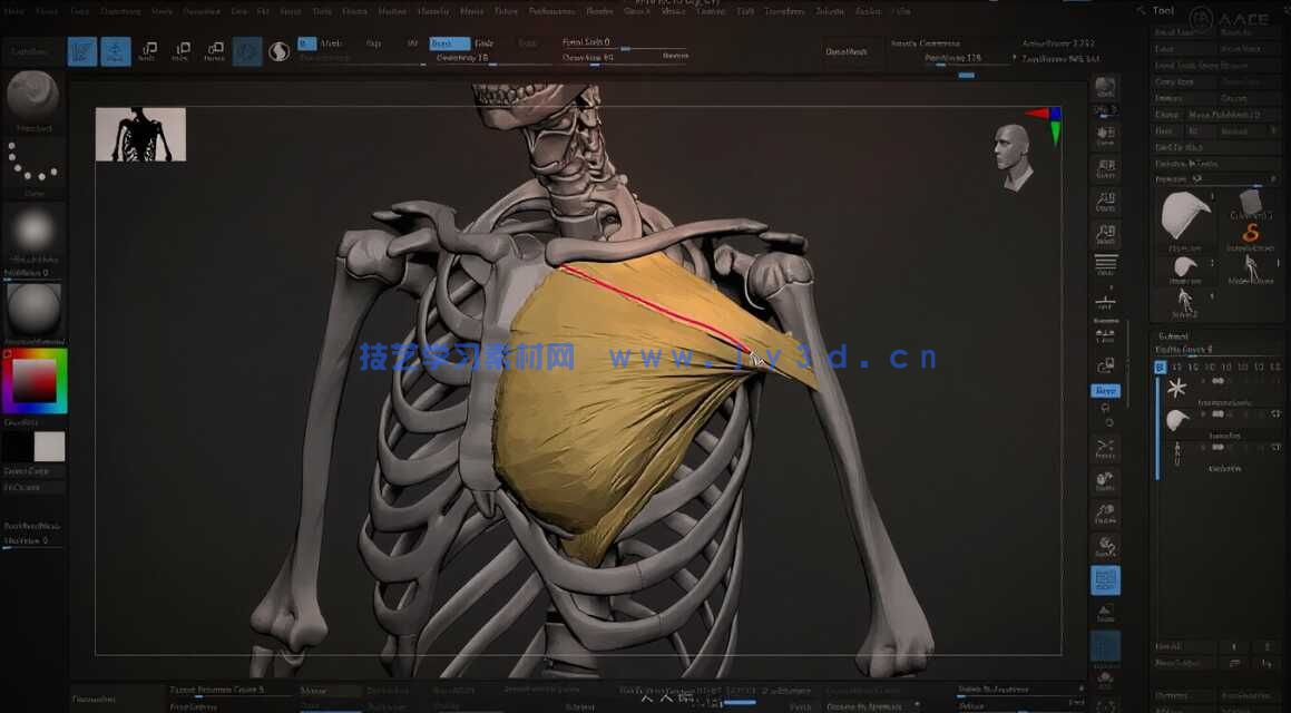 【中文字幕】ZBrush人体雕刻技术进阶大师班视频教程(图6) 【中文字幕】ZBrush人体雕刻技术进阶大师班视频教程(图6)