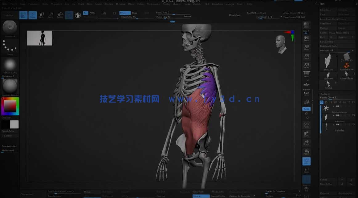 【中文字幕】ZBrush人体雕刻技术进阶大师班视频教程(图5) 【中文字幕】ZBrush人体雕刻技术进阶大师班视频教程(图5)