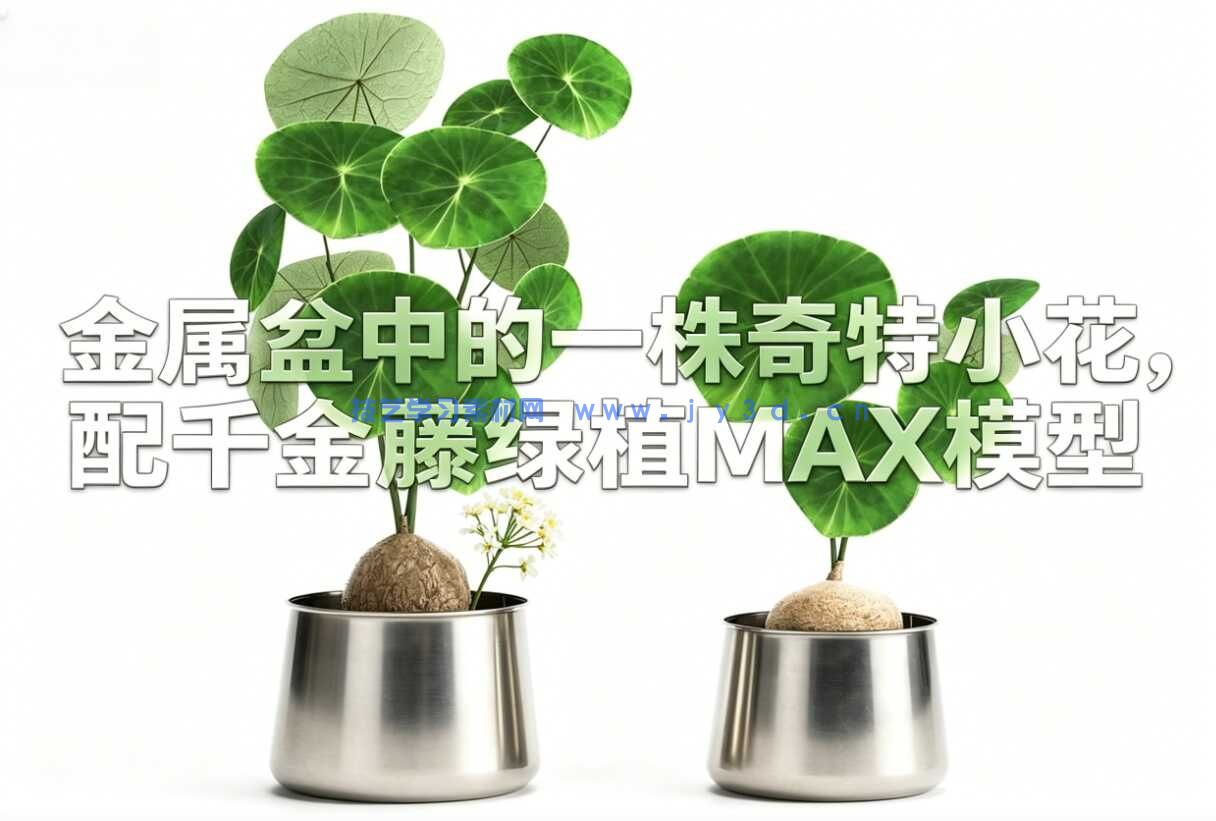 金属盆中的一株奇特小花，配千金藤绿植MAX模型